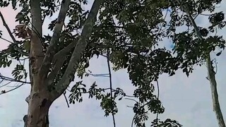 perjalanan hidup