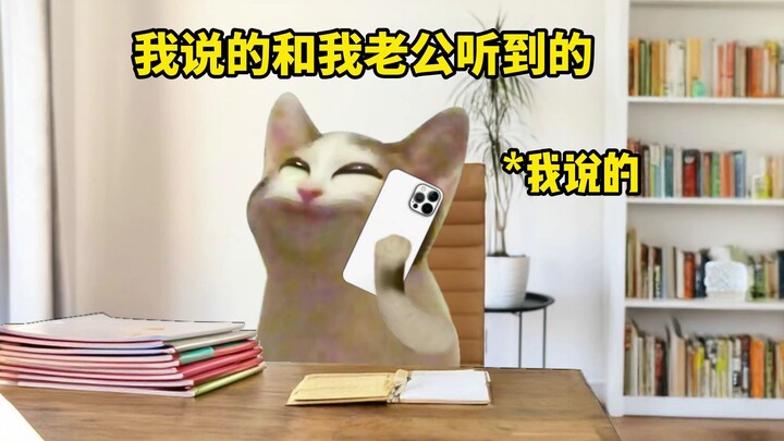 สิ่งที่ฉันพูดกับสิ่งที่สามีฉันได้ยิน