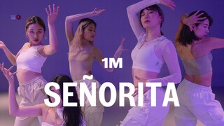 【1M】Ara Cho编舞《Señorita》(完整版)