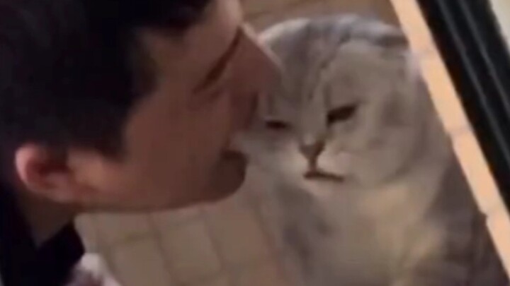 A grand “cat servant” being utterly ridiculous: How dare you show disrespect to your master?