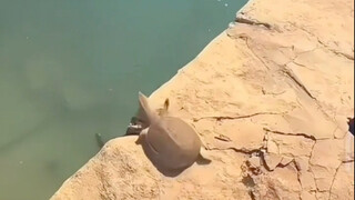 عندما تعتقد أن هذا هو البحر...