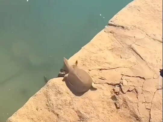 عندما تعتقد أن هذا هو البحر...