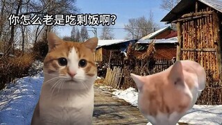 When a city cat returns home for the New Year and meets a rural cat