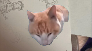 ฉันกำลังคิดถึงสมุดวาดรูป