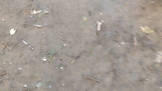Part 1