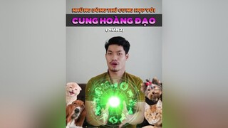 Cung Cự Giải, Sư Tử, Xử Nữ thì nên nuôi gì? tuitienpet dcgr pet learnontiktok