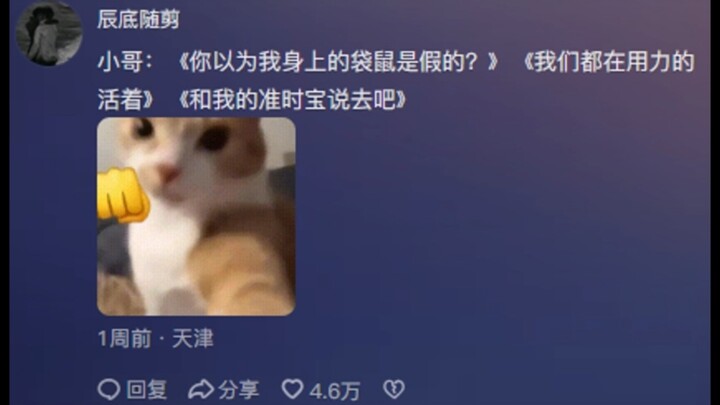 外卖员：不给你两拳你真以为我身上的袋鼠是方便送外卖的吗