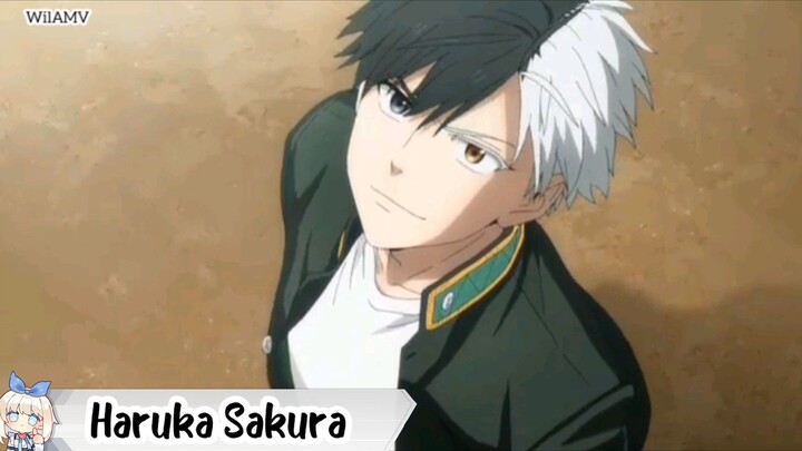 Haruka Sakura |Wind Breaker|AMV|