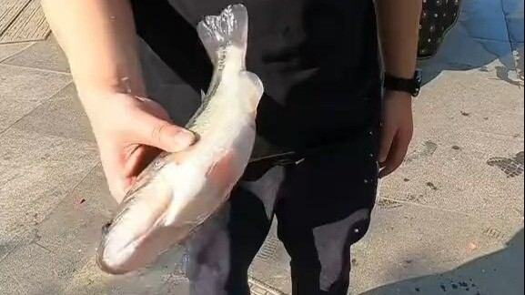 แยกขายขนาดใหญ่กับขนาดเล็ก ที่เหลือเป็นของเล็กก็แจกๆ ไปเลย! ถ้าขายถูกเกินไป ต่อไปจะยิ่งขายยากขึ้นเรื่