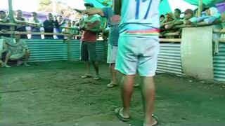 tupada lang sakalam Talo