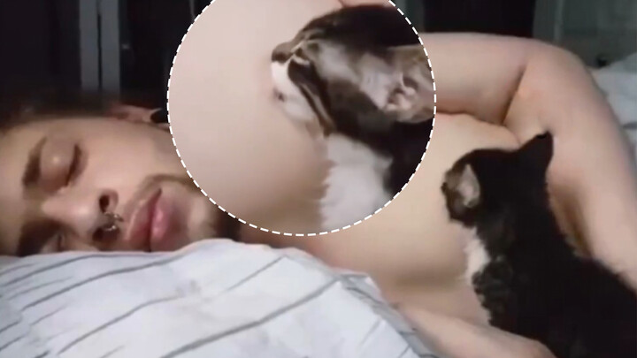 【Pet】Funny Acts of Cats
