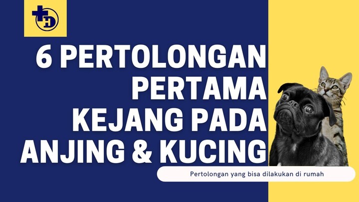 Pertolongan Pertama Kejang pada Anjing & Kucing