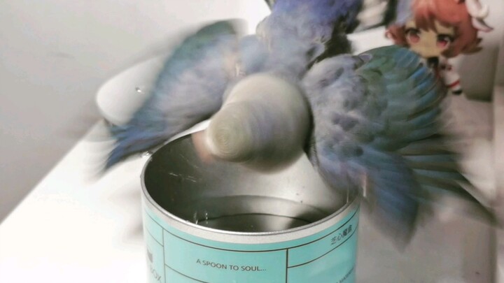 【Giảm căng thẳng】Đổ nước vào lon rỗng là có mấy chú chim ngốc nghếch đến tắm!