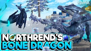 Northrend Bone Dragon Pet | AOE Dragon Breath | Utopia:Origin