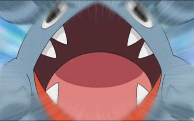 A crunchy shark
