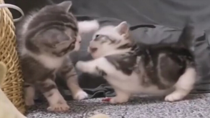 محاولة خدش الهواء المحيط بالخصم لخنقه حتى الموت (3)