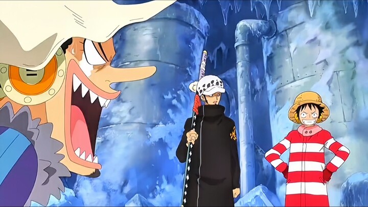 Law Tertekan Banget Gabung sama Kru Mugiwara 🤣