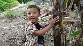 Salam Dari Binjai❗Seneng Ketemu Pohon Pisang