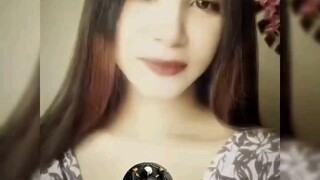 jvgk