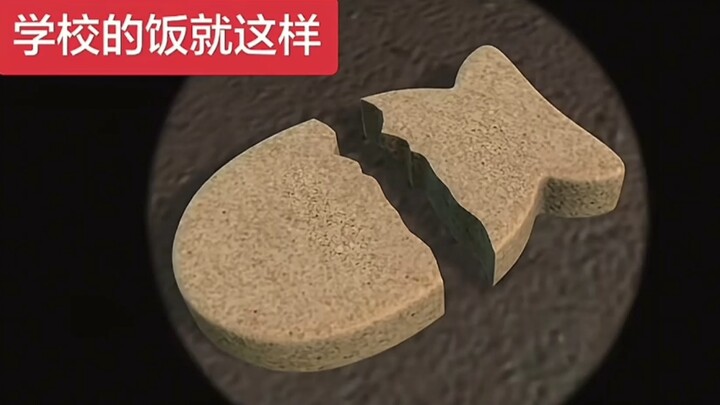 طعام المدرسة