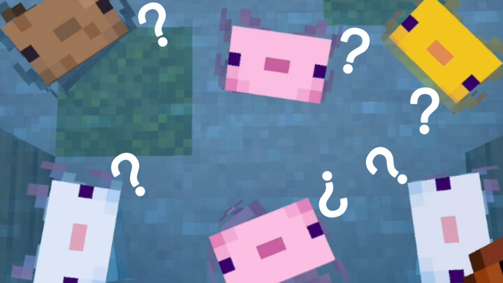 Thằn lằn kỳ diệu: •-•?