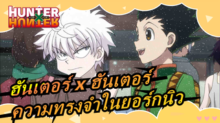 ฮันเตอร์ x ฮันเตอร์|ความทรงจำในยอร์กนิว