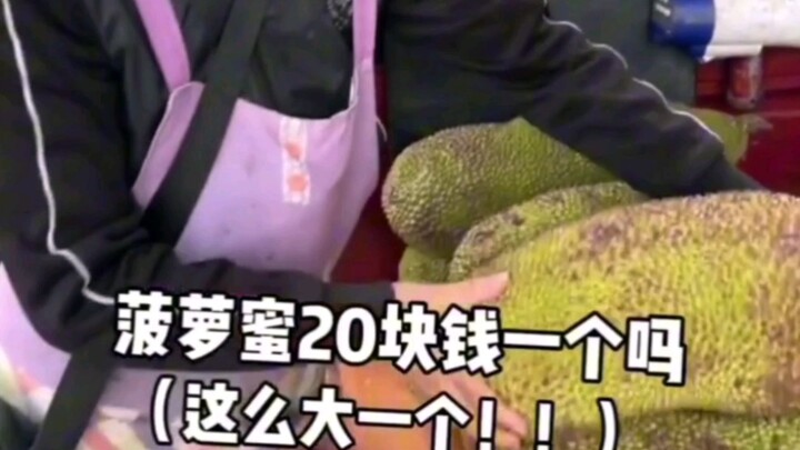 Yang suka makan buah, cuma bisa nangis melihatnya sambil iri! #harga #Guangxi