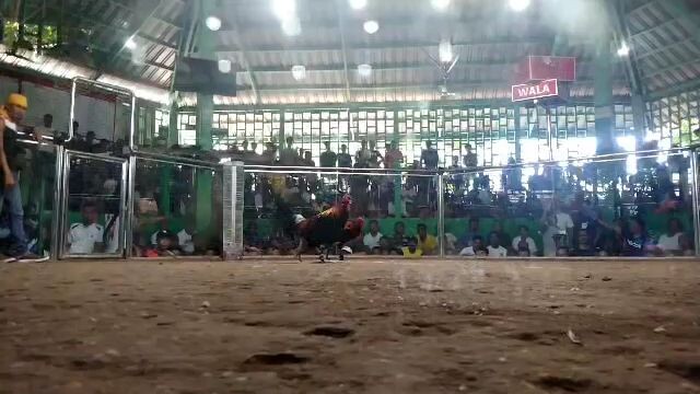 wa jud nakatulo... my 2x winner na tabla