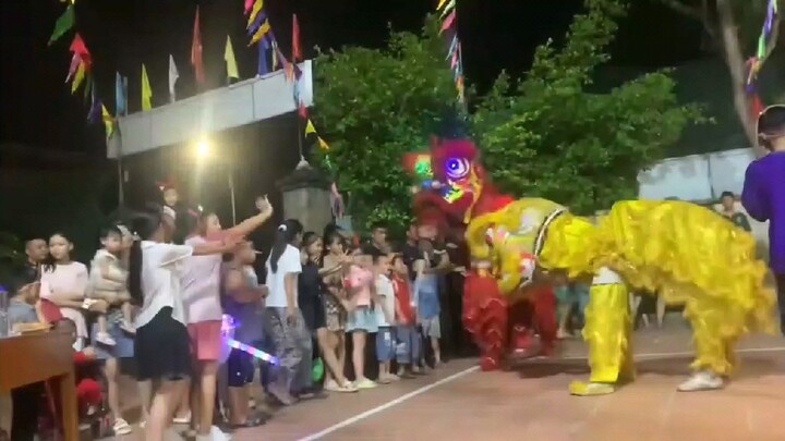 múa lân 2024 viet  hoành Bồ phố 6