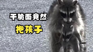 动物们的重逢时刻！