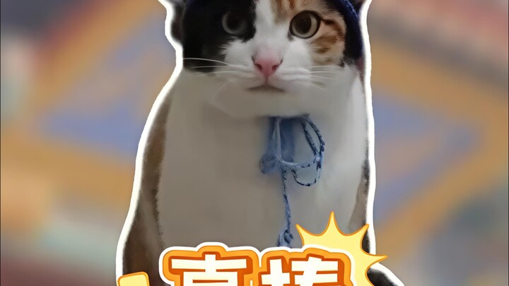 A top student in the cat world! Solved a Peking University problem with a perfect score—💯