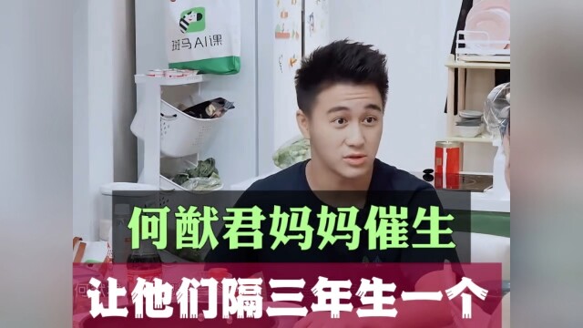 Mẹ của Hà Du Quân giục sinh con, bảo họ cứ ba năm lại sinh một đứa
