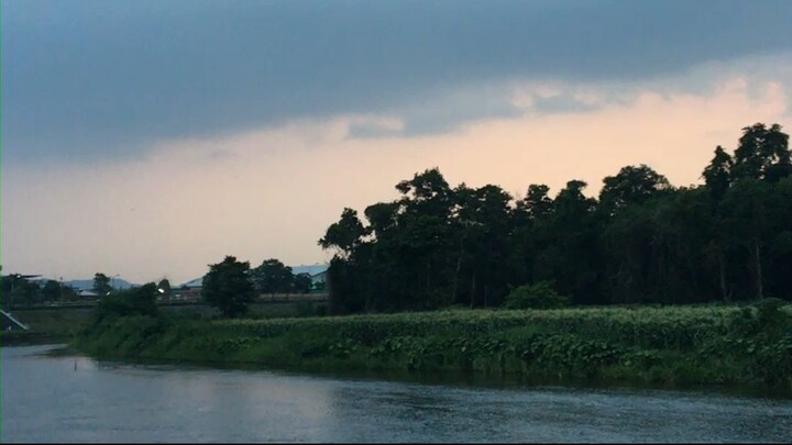 thai tai from yala