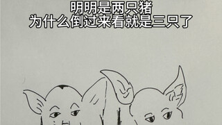 谁能告诉我这是为什么？