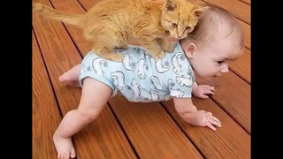 😺 การศึกษาของมนุษย์! 🐈 วิดีโอตลกๆ ที่คัดสรรมาอย่างดีพร้อมแมวเพื่ออารมณ์ดี! 😺