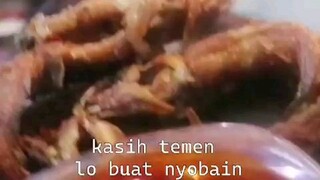 cara ternak lele yg gampang banget