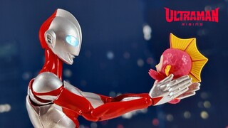 ‍【Quick Show】SHF Ultraman & EMI Ultraman: Rising