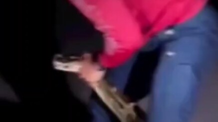 Subdue a Giant Python with Bare Hands