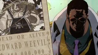 Tiền truy nã của DRACULE MIHAWK BOA HANCOCK BUGGY WEEVIL DOFLAMINGO p5
