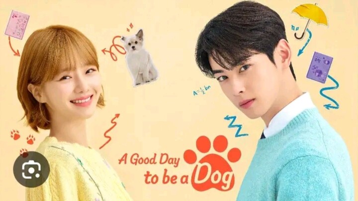 A Good Day to be a Dog EP 15 (Tagalog Dubbed)
