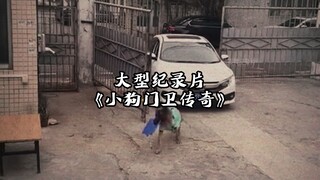 Film dokumenter skala besar "Guardian Puppy"
