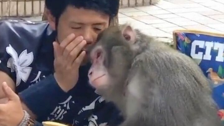 ลิงตัวนี้แน่ใจนะว่าไม่ได้ใส่คนอยู่ในชุดหุ้ม