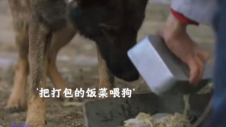 ในยุคที่คนกินไม่อิ่ม ชายคนหนึ่งกลับนำข้าวสารชั้นดีไปเลี้ยงสุนัข