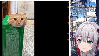 日本天然小姐姐看《怎么所有倒霉的事情都让猫猫碰上了！》