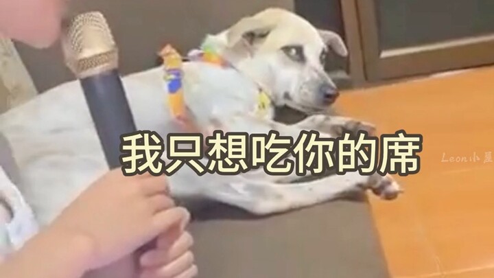 หมา:ถ้ายังร้องโวยวายอีกนะ ฉันจะโทรแจ้งตำรวจแล้ว!