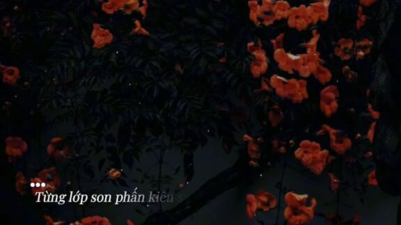 gã săn cá