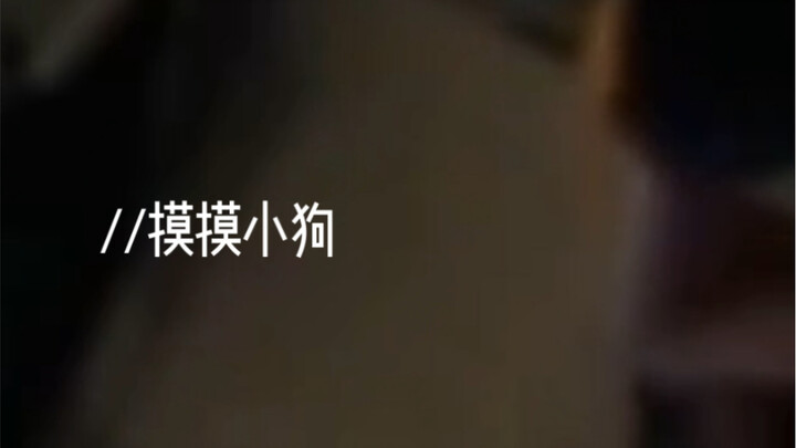 [Shuai Kuan] A clingy little dog...