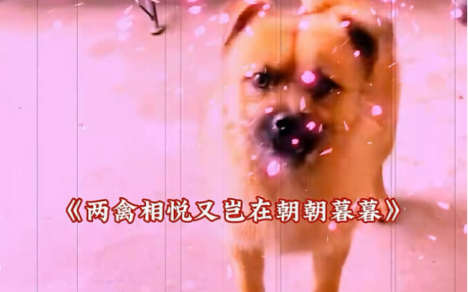 My sister-in-law doesn't look like a local.