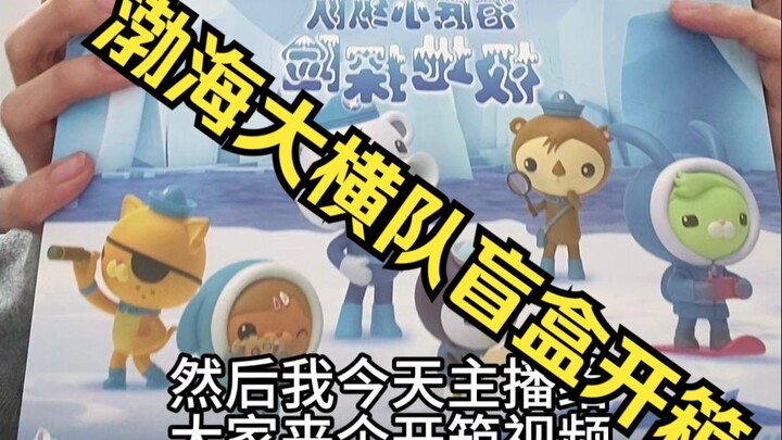 Unboxing the Bohai Da Heng Dui blind box!