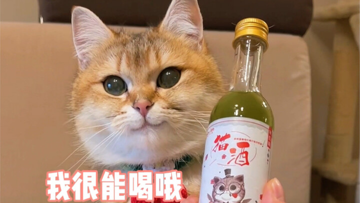 This little kitten is really weak!